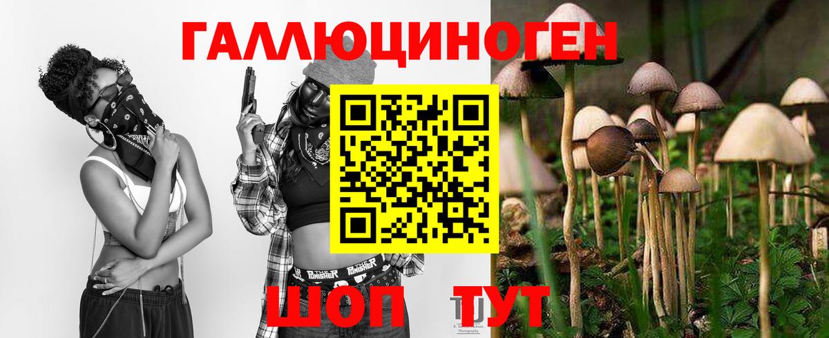 Псилоцибиновые грибы ЛСД Магадан